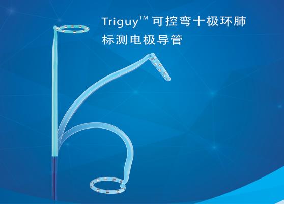 triguy? pv環(huán)狀可控標(biāo)測(cè)導(dǎo)管